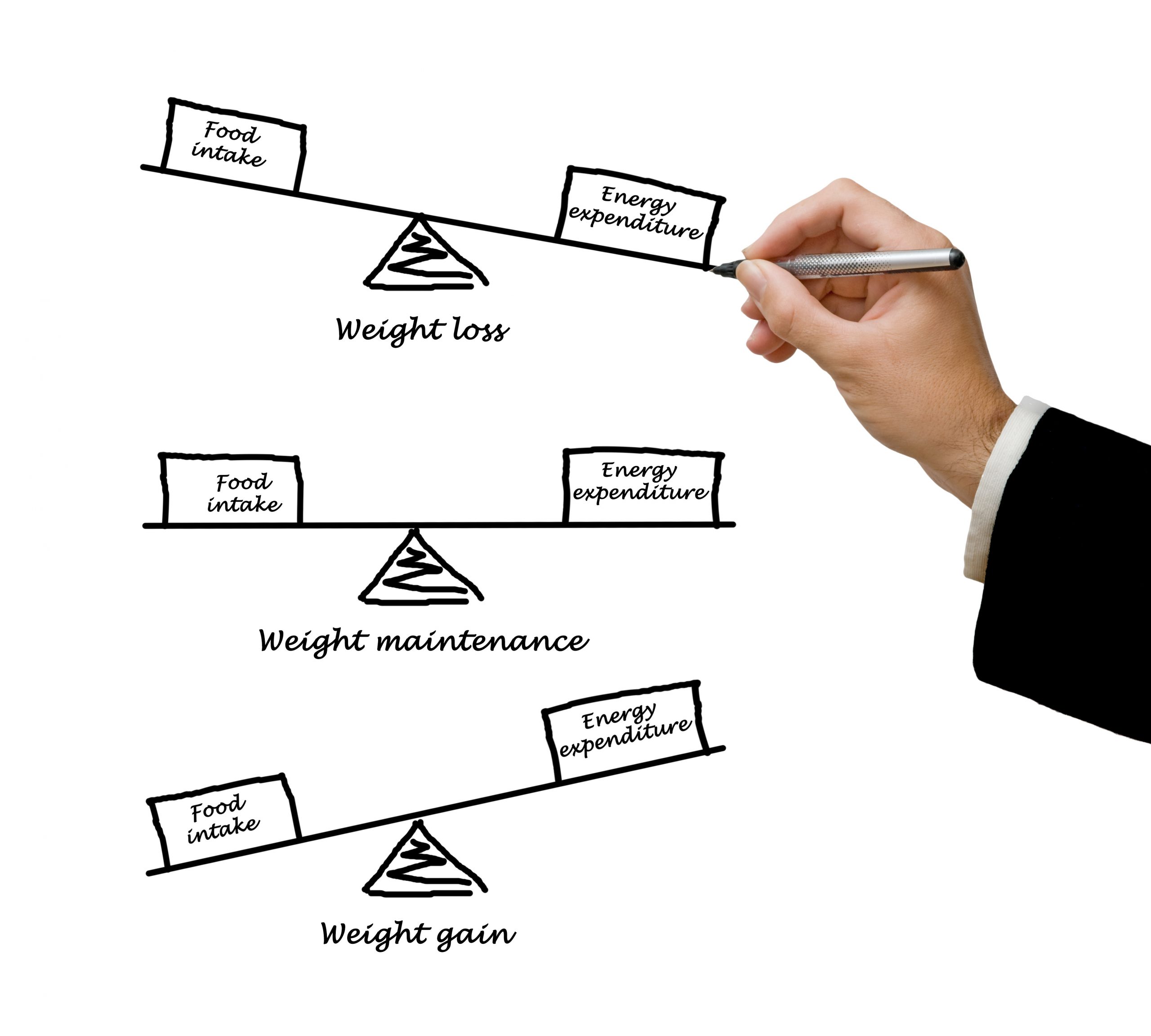 Balance between Energy intake and Energy expenditure
