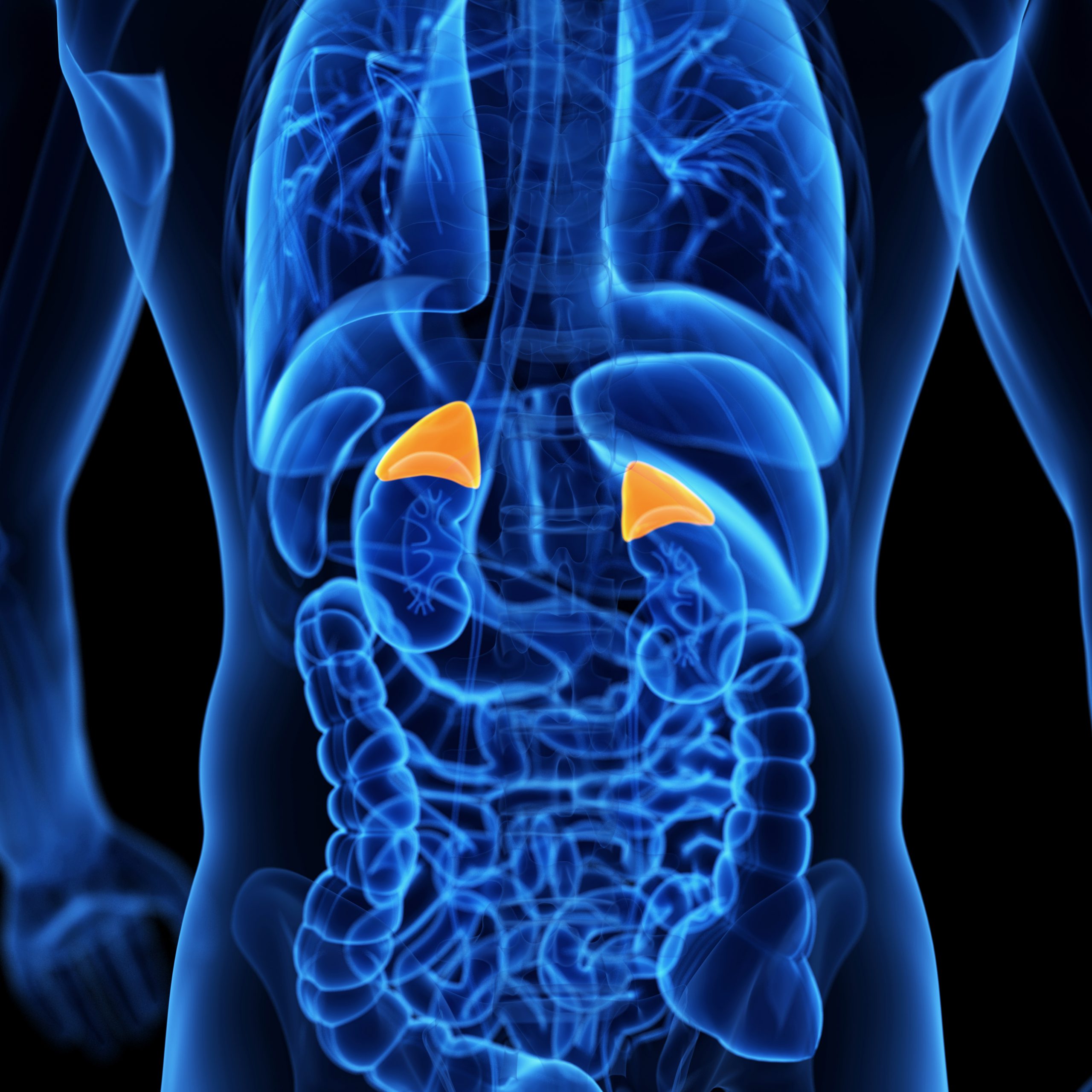 adrenal-gland-specialist-naperville