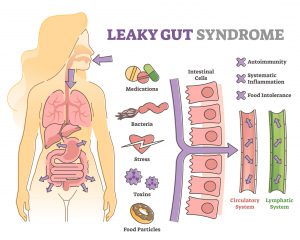 how-to-heal-your-stomach