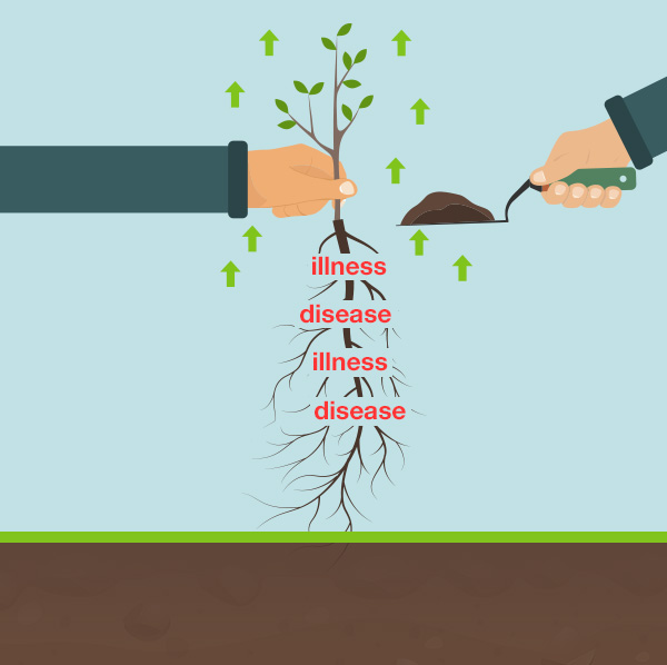 image-1C-new-5c7815dea2530