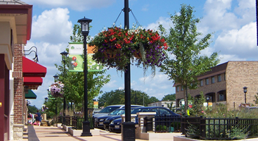 LISLE FUNCTIONAL MEDICINE