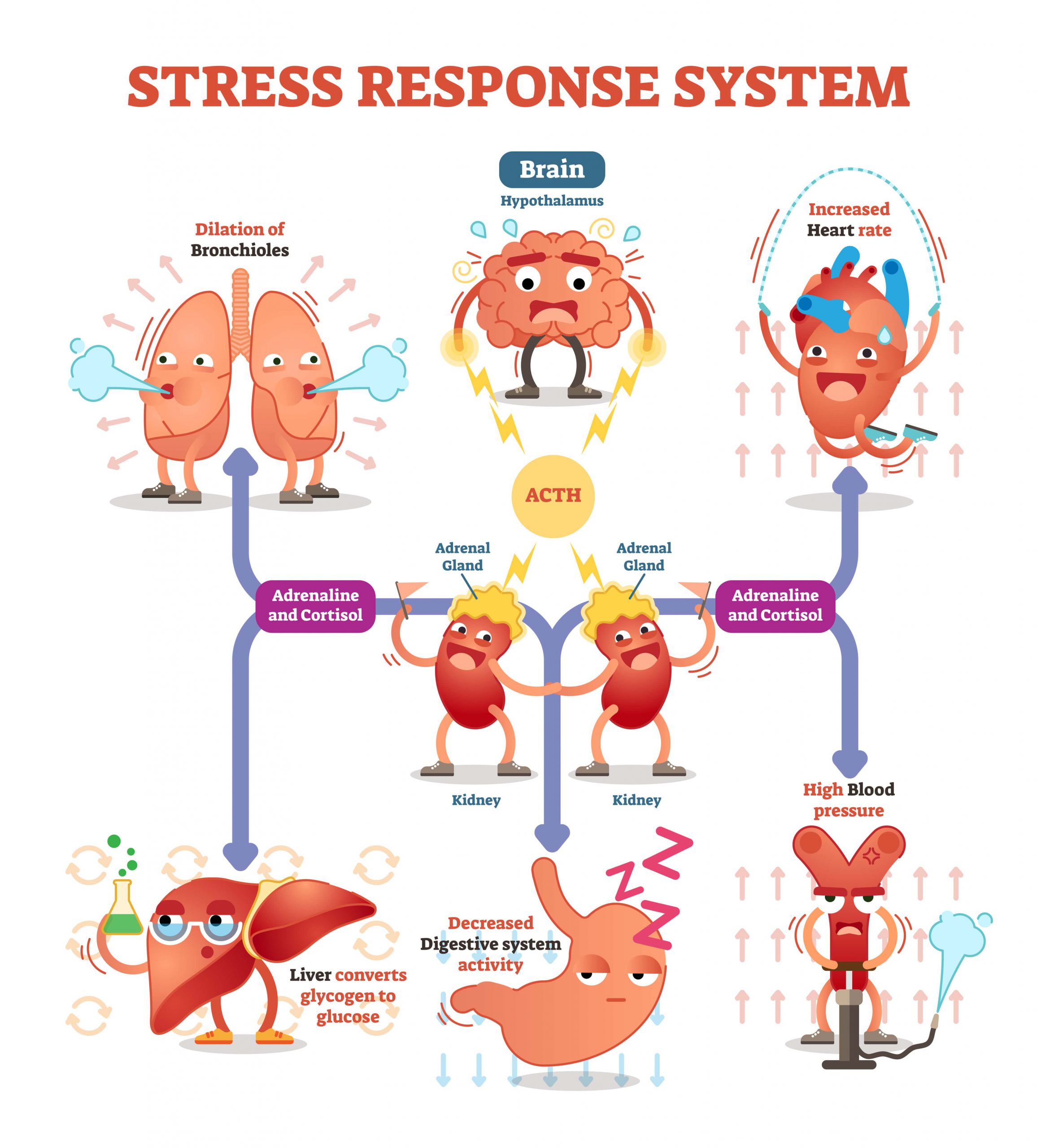 irritable-bowel-syndrome-treatment-naperville